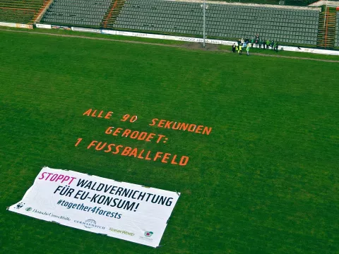 Fußballfeld Abholzung Aktion