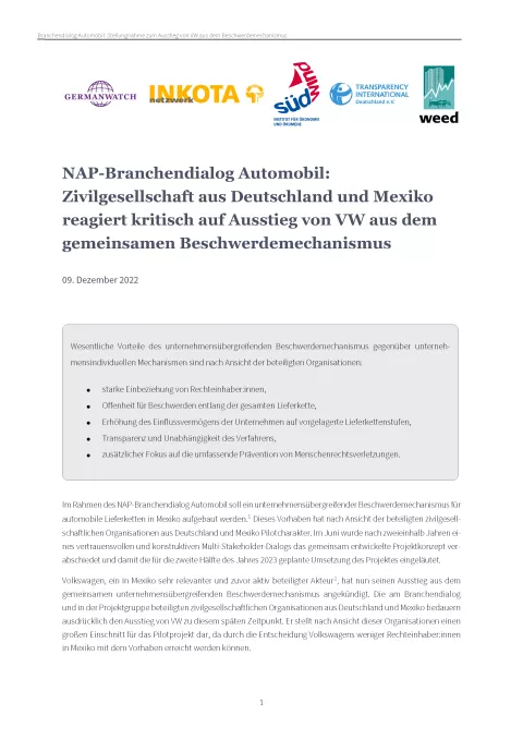 Titelseite der Stellungnahme