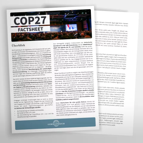 Titelseite des Factsheets
