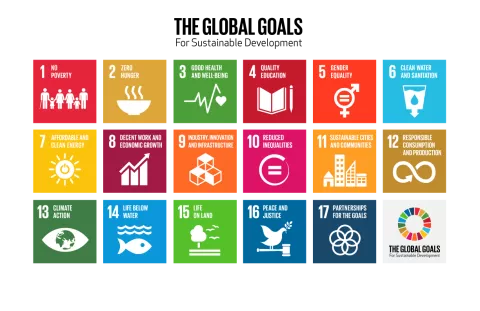 Sustainable Development Goals 2015
