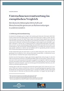 Cover Kurzrecherche NAP Cover Kurzrecherche NAP