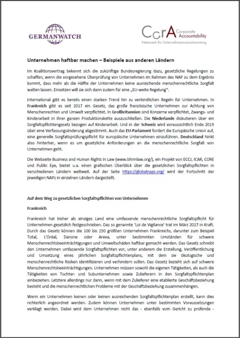 Cover: Unternehmen haftbar machen Cover: Unternehmen haftbar machen