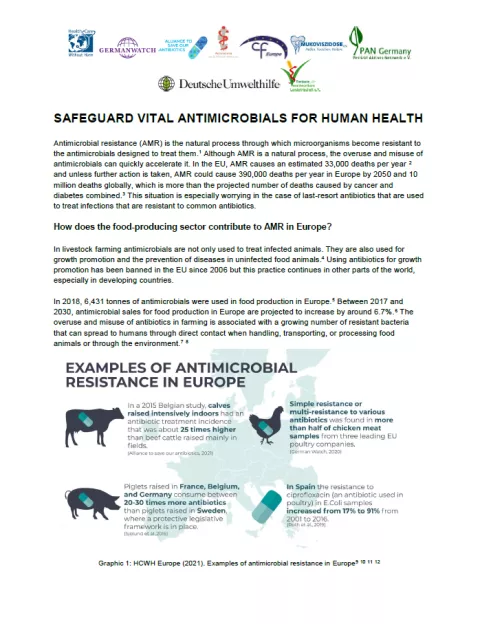 Titelseite des Factsheets