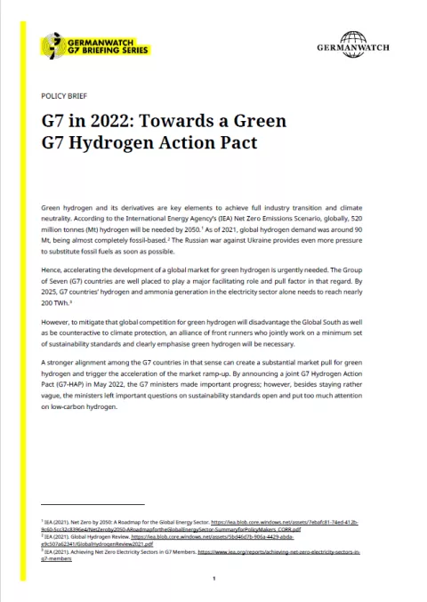 First Page of the Policy Brief