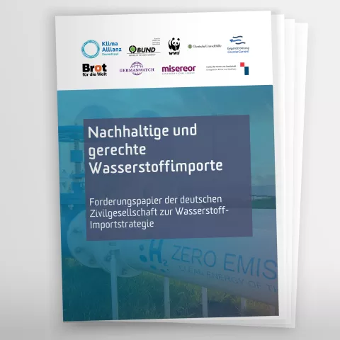 Vorschaubild Forderungspapier nachhaltige und gerechte Wasserstoffimporte