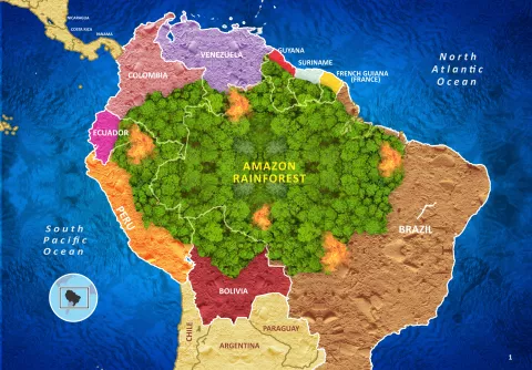 Fig. 2. Map of the Amazon Rainforest with bordered countries (shubhamtiwari / Shutterstock).