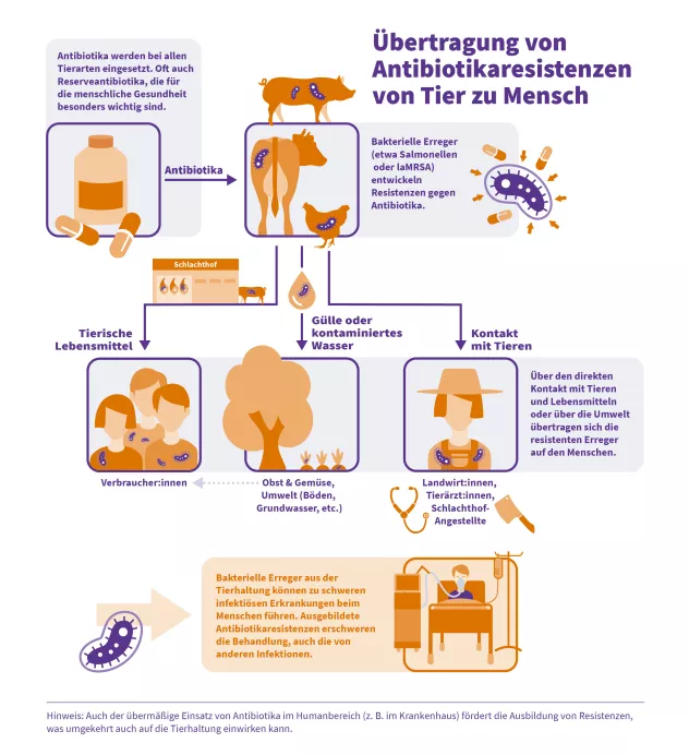 Darstellung der Übertragungswege von Antibiotikaresistenzen