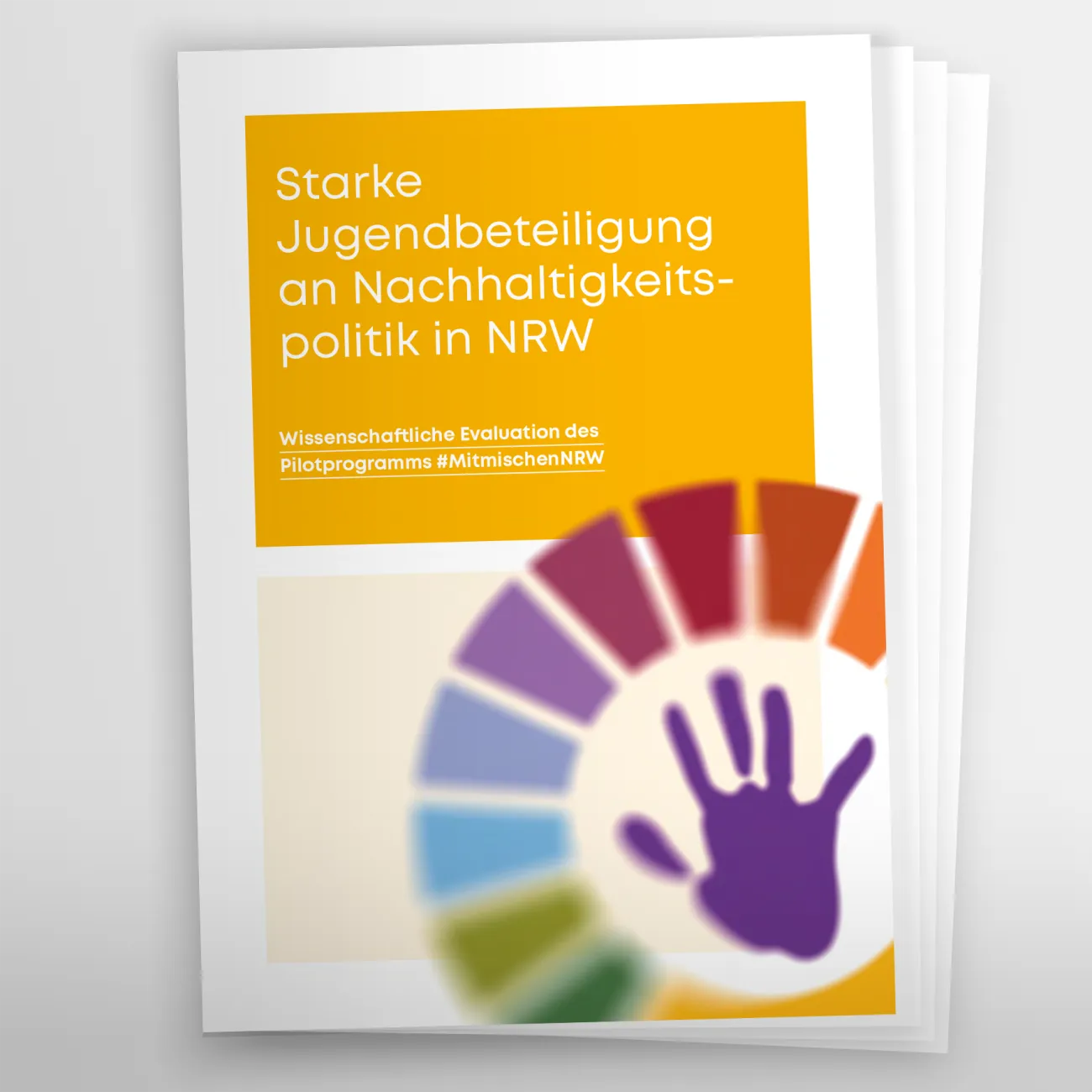 Cover Mitmischen Gutachten