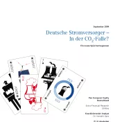 Deutsche Stromversorger - In der CO2-Falle Ein neues Spiel hat begonnen - Zusammenfassung