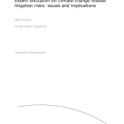 Expert elicitation on climate change related litigation risks: issues and implications