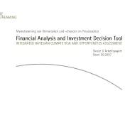 Financial Analysis and Investment Decision Tool