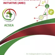 Engaging with the Africa Renewable Energy Initiative