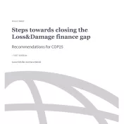 Policy Briefing: Steps towards closing the Loss&Damage finance gap