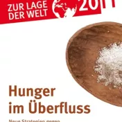 Deckblatt: Zur Lage der Welt 2011