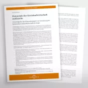 Vorschaubild zur Publikation
