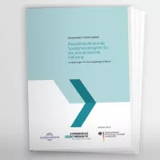 Titelbild einer Fachpublikation zum Thema flexibilitätsfördernde Sondernetzentgelte