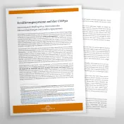 Vorschaubild zur Publikation