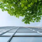 Sicht von unten auf einen in die Höhe ragenden Wolkenkratzer und einen grünen Baum