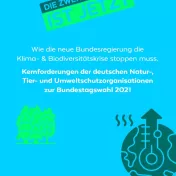 Cover: Forderungspapier DNR_Kernforderungen zur Bundestagswahl 2021