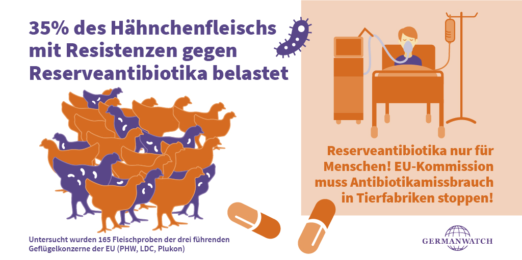 Hähnchenstudie 2020: Antibiotikaresistenzen